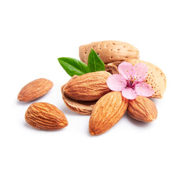 Almonds nuts with flowers.