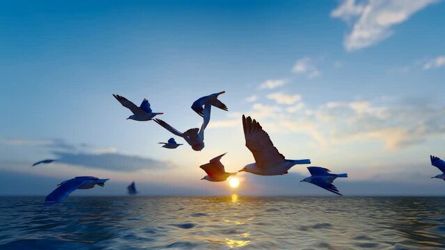 Seagulls frolic and fly low in the sunset.
