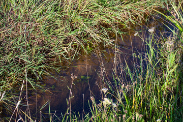 water in the lake in calm, windy weather