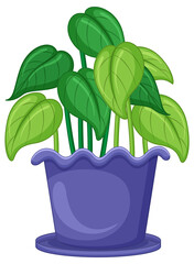 Plant in a pot in cartoon