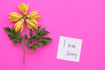 i am sorry message card handwriting with yellow flowers ylang ylang arrangement flat lay postcard style on background pink