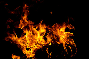 Fototapeta na wymiar Fire flame. Burn lights on a black background.