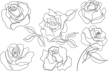 Rose flower outline vector. Set of hand drawn sketches. Line Ink drawing. Eps 10