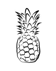 Pineapple vector isolated on a white background. Fresh fruit icon.