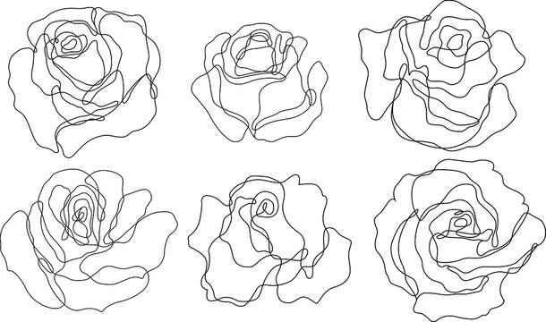 Rose flower outline vector. Set of hand drawn sketches. Line Ink drawing. Eps 10