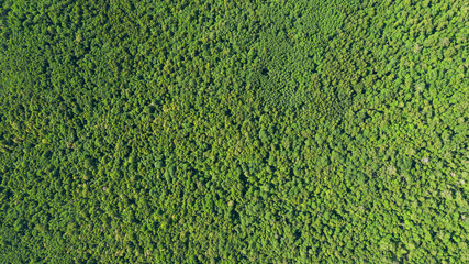 Southern Urals, Ural Mountains, mountain taiga in summer. Aerial view.