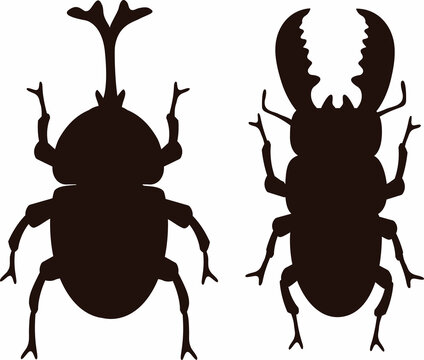 クワガタムシ Images Browse 1 328 Stock Photos Vectors And Video Adobe Stock