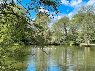 Walk in the Park