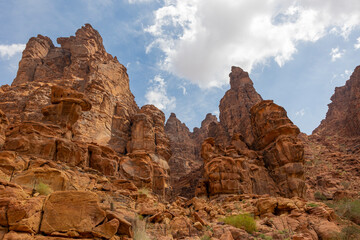 Fototapeta premium Wadi Al Disah valley views in Tabuk region of western Saudi Arabia