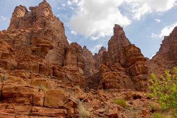 Fototapeta premium Wadi Al Disah valley views in Tabuk region of western Saudi Arabia