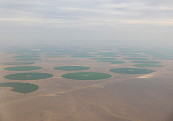 Aerial views of crop fields in the desert region of Tabuk in the north west area of Saudi Arabia