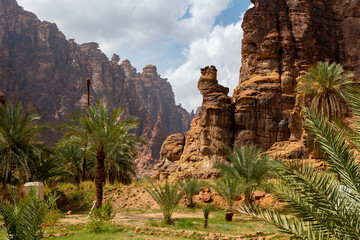 Wadi Al Disah valley views in Tabuk region of western Saudi Arabia - obrazy, fototapety, plakaty