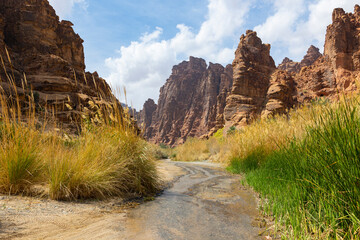 Wadi Al Disah valley views in Tabuk region of western Saudi Arabia