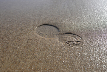 Saint-Malo - Trace de pas