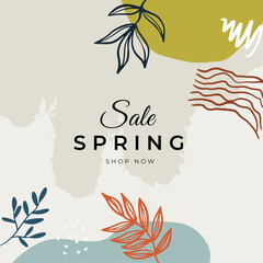 Spring flower vector background. Hello spring text in white frame space and colorful camellia and crocus flowers in white background. Vector illustration.