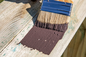 Painting wooden surface with a paintbrush. Brown color