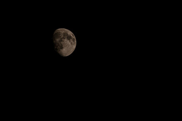 Close up of new moon with visible craters on its surface on black night sky background with copy space