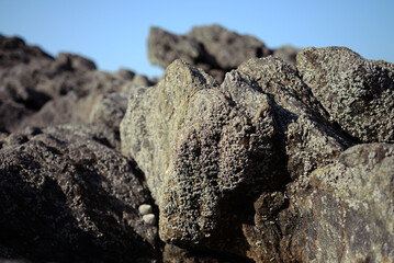 Plage littoral breton - rochers