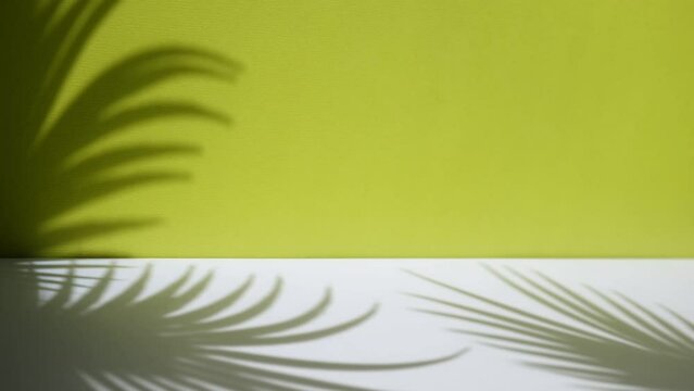 Minimal abstract background with shadow of tropical palm leaves. Presentation of cosmetic product. Premium podium on pastel light green wall and white table. Showcase, display case, Front view. Mockup