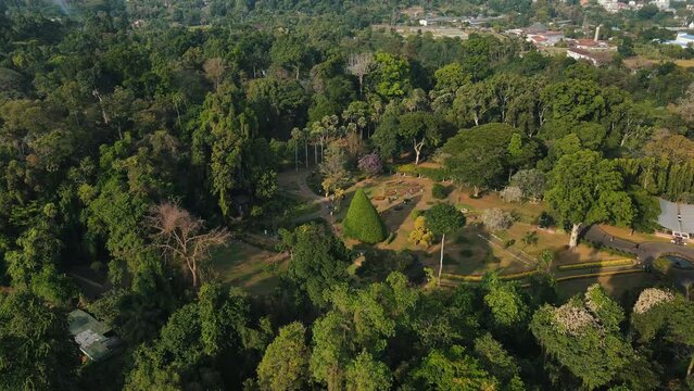 Beautiful trees in various shapes pruned in the Royal Botanical Gardens of Peradeniya in Sri Lanka with the city of Kandy between the mountains in the background. Backwards drone dolly tilt shot
