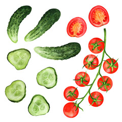 Design set of  tomatoes and cucumbers watercolor