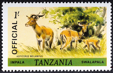 TANZANIA - CIRCA 1985: A stamp printed in Tanzania shows Impala Aepyceros melampus , Animals serie,...