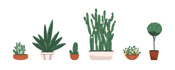 Potted outdoor patio plants set. Foliage decor, succulent, cactus in planters, flowerpots. Green decoration for street outside of house. Colored flat vector illustrations isolated on white background © Good Studio