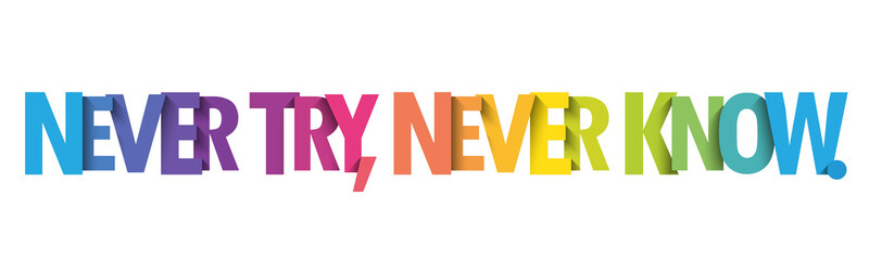 NEVER TRY, NEVER KNOW. colorful vector typography slogan