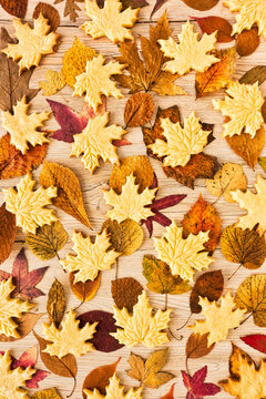 Fall Background with Homemade Biscuits on Autumn Leaves