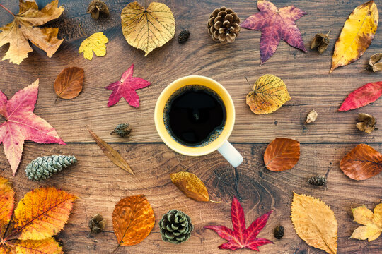 Autumn Background with Autumn Leaves on Oak Wood with Mug of Coffee