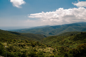 Fototapeta premium landscape with sky