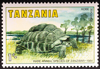 TANZANIA - CIRCA 1984: A stamp printed in Tanzania, dedicated to Rare Species of Zanzibar, shows a...