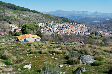 Fototapeta na wymiar Serranillos en la Sierra de Gredos. Ávila. España.