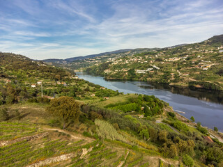 Douro valley in wine region with the famous douro river. Portugal 