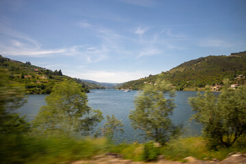 Douro river boat cruise