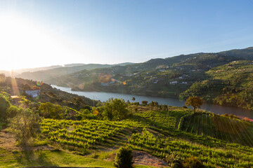 Fototapeta na wymiar Douro Valley river in the Baião region in Portugal