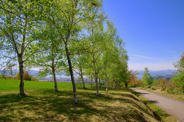 Obraz premium 春の猪苗代町営牧場（福島県・猪苗代町）