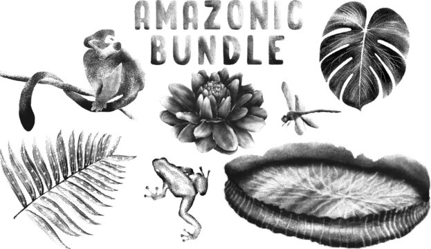 Amazonic Vector Bundle Cover