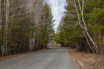 The road through the forest in the Kurgan region. A beautiful road passes through the forests of the Kurgan region in the Urals