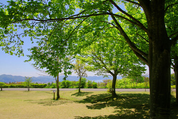Fototapeta premium 天鏡台からの猪苗代湖（福島県・猪苗代町）