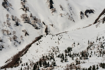 Wonderful wintery Scenery in sunny day.