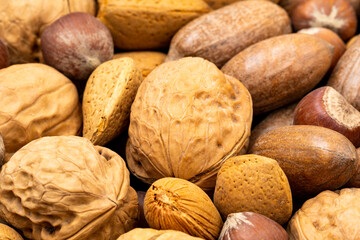 Different kinds of nuts, focus on the walnut