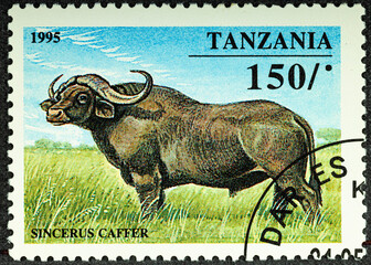 TANZANIA - CIRCA 1995: A stamp printed in Tanzania shows Syncerus caffer or African buffalo,...