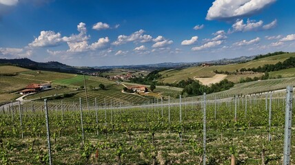 Fototapeta na wymiar the splendid Piedmontese Langhe with its vineyards and world famous wine, in the areas of Barolo and Monforte