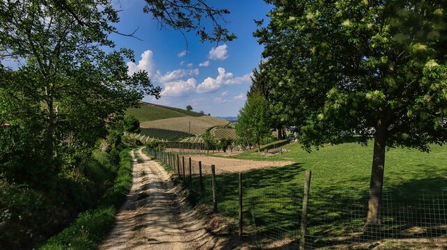 the landscapes of the Piedmontese Langhe of Barolo and Monforte d'alba in spring. Land of vineyards producing the best wines in the world