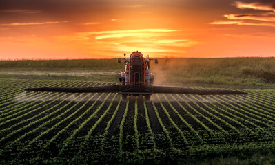 Tractor spraying soybean field at spring