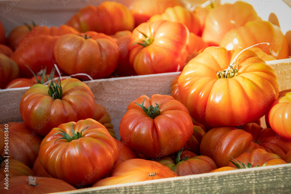 Wall mural close up of big red tomatoes