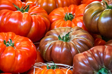 close up of big red tomatoes