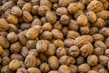 close up of a pile of fresh walnuts
