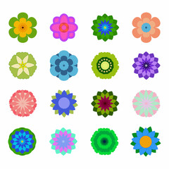 Set of colorful flowers on white background Flower icon Vector illustration